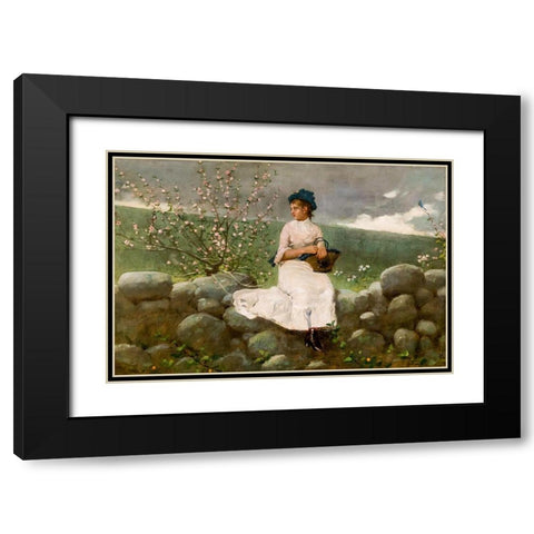 Peach Blossoms Black Modern Wood Framed Art Print with Double Matting by Homer, Winslow