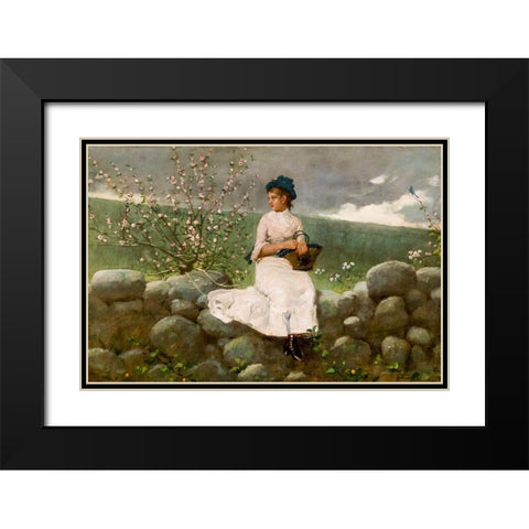 Peach Blossoms Black Modern Wood Framed Art Print with Double Matting by Homer, Winslow
