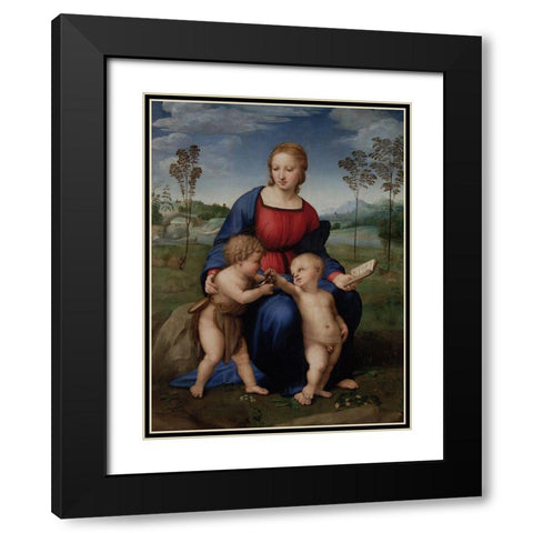 Madonna of the Goldfinch Black Modern Wood Framed Art Print with Double Matting by Raphael
