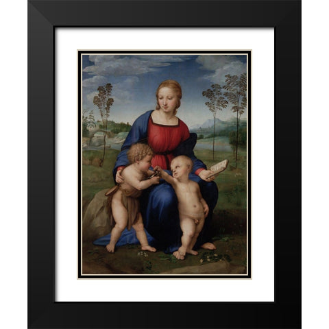Madonna of the Goldfinch Black Modern Wood Framed Art Print with Double Matting by Raphael