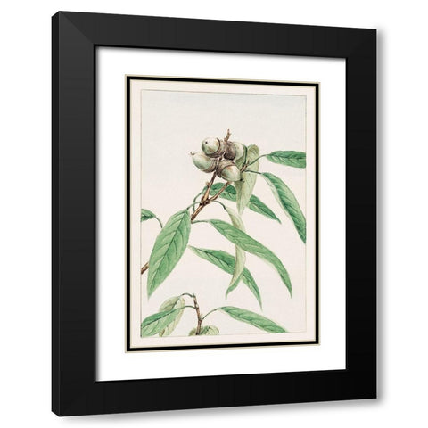 Kashi Black Modern Wood Framed Art Print with Double Matting by Morikaga, Megata