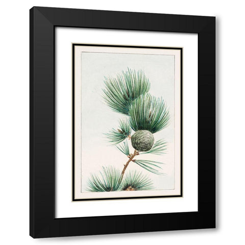 Gayo matsu pine Black Modern Wood Framed Art Print with Double Matting by Morikaga, Megata