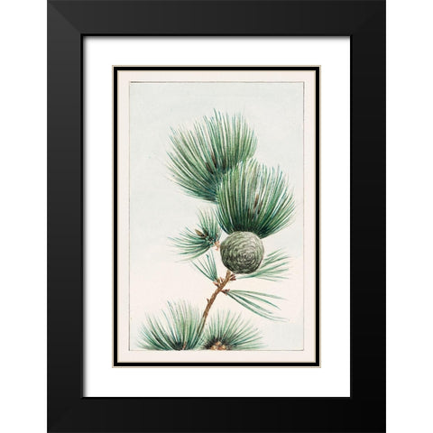 Gayo matsu pine Black Modern Wood Framed Art Print with Double Matting by Morikaga, Megata