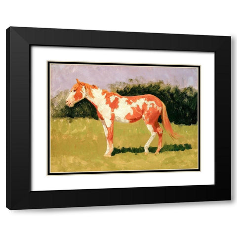 Pinto horse Black Modern Wood Framed Art Print with Double Matting by Remington, Frederic