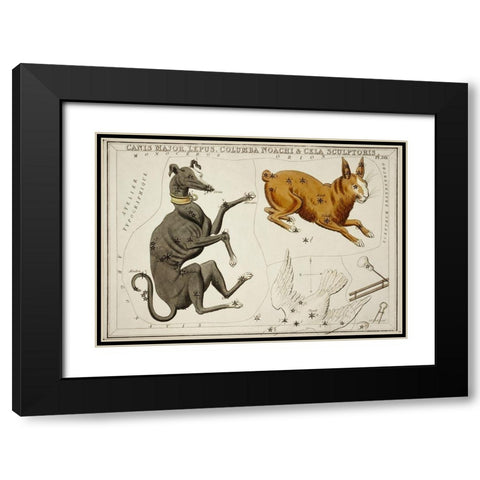 Astronomical chart illustration of the Canis Major-Lepus-Columba Noachi and the Cela Sculptoris Black Modern Wood Framed Art Print with Double Matting by Hall, Sidney