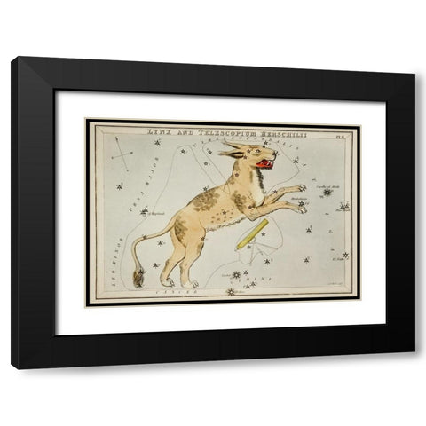 Astronomical chart illustration of Lynx and the Telescopium Herschilii Black Modern Wood Framed Art Print with Double Matting by Hall, Sidney