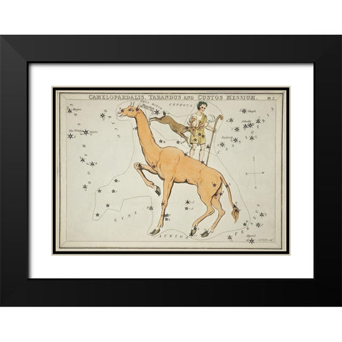 Astronomical chart illustration of the Camelopardalis-Tarandus and the Custos Messium Black Modern Wood Framed Art Print with Double Matting by Hall, Sidney