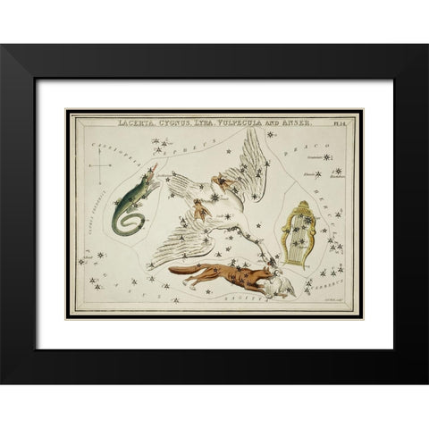 Astronomical chart illustration of the Lacerta-Cygnus-Lyra-Vulpecula and the Anser Black Modern Wood Framed Art Print with Double Matting by Hall, Sidney