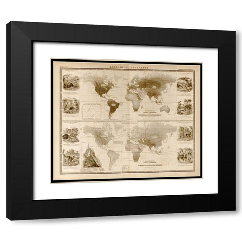 Zoological Geography Ruminants Black Modern Wood Framed Art Print with Double Matting by Vintage Maps