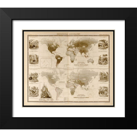 Zoological Geography Ruminants Black Modern Wood Framed Art Print with Double Matting by Vintage Maps