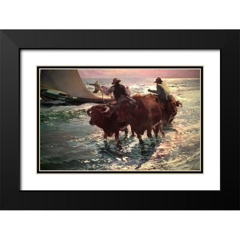 Oxen in the Sea Black Modern Wood Framed Art Print with Double Matting by Sorolla, Joaquin
