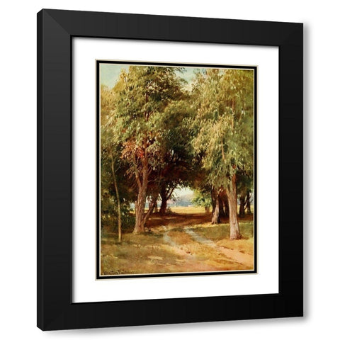 A Eucalyptus Grove-California 1914 Black Modern Wood Framed Art Print with Double Matting by Palmer, Sutton