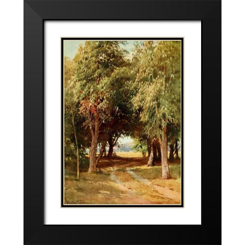A Eucalyptus Grove-California 1914 Black Modern Wood Framed Art Print with Double Matting by Palmer, Sutton