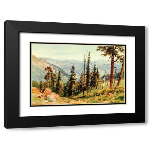 Redwoods of Great Twin Valleys-California 1914 Black Modern Wood Framed Art Print with Double Matting by Palmer, Sutton
