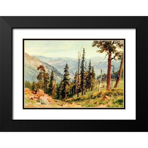 Redwoods of Great Twin Valleys-California 1914 Black Modern Wood Framed Art Print with Double Matting by Palmer, Sutton