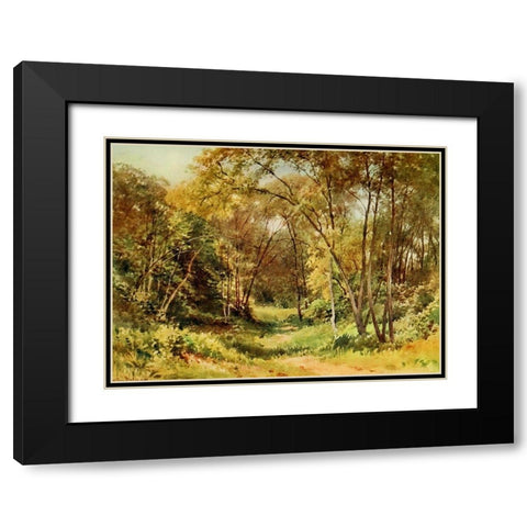 Tall Chaparral-Santa Cruz-California 1914 Black Modern Wood Framed Art Print with Double Matting by Palmer, Sutton