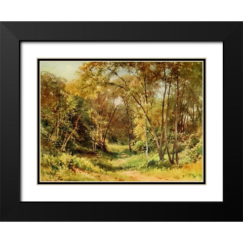 Tall Chaparral-Santa Cruz-California 1914 Black Modern Wood Framed Art Print with Double Matting by Palmer, Sutton