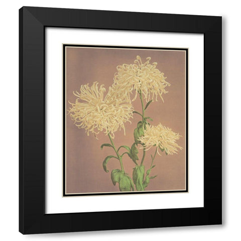 Three Yellow Chrysanthemums Black Modern Wood Framed Art Print with Double Matting by Kazumasa, Ogawa