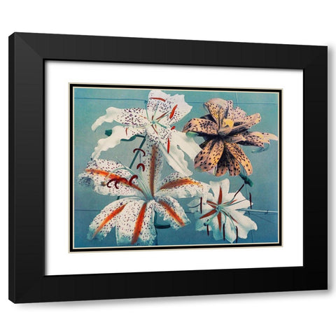 Lily II Black Modern Wood Framed Art Print with Double Matting by Kazumasa, Ogawa