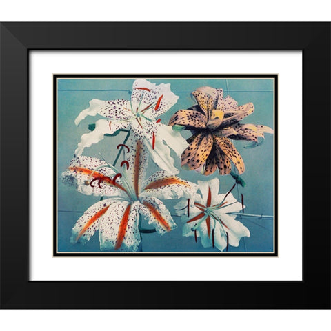 Lily II Black Modern Wood Framed Art Print with Double Matting by Kazumasa, Ogawa