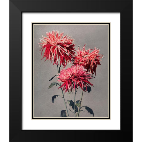 Asa dsuma bune Black Modern Wood Framed Art Print with Double Matting by Kazumasa, Ogawa