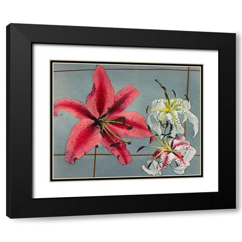 Lily IX Black Modern Wood Framed Art Print with Double Matting by Kazumasa, Ogawa