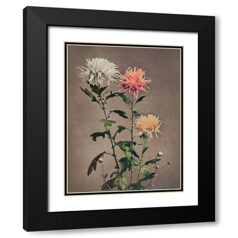 Kin Sui Ro Black Modern Wood Framed Art Print with Double Matting by Kazumasa, Ogawa