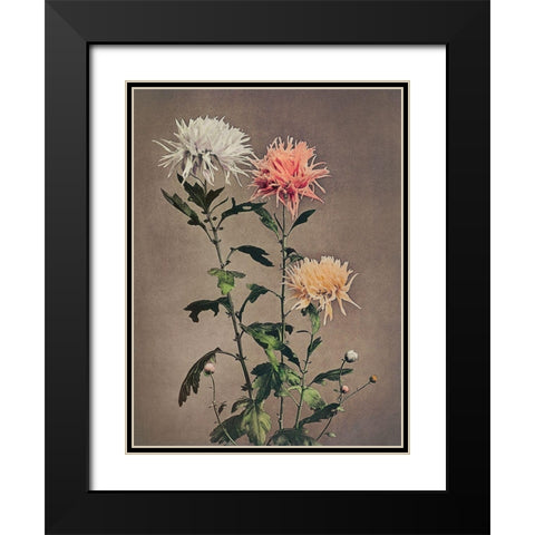 Kin Sui Ro Black Modern Wood Framed Art Print with Double Matting by Kazumasa, Ogawa