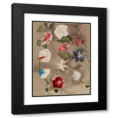 Group of Morning Glories Black Modern Wood Framed Art Print with Double Matting by Kazumasa, Ogawa