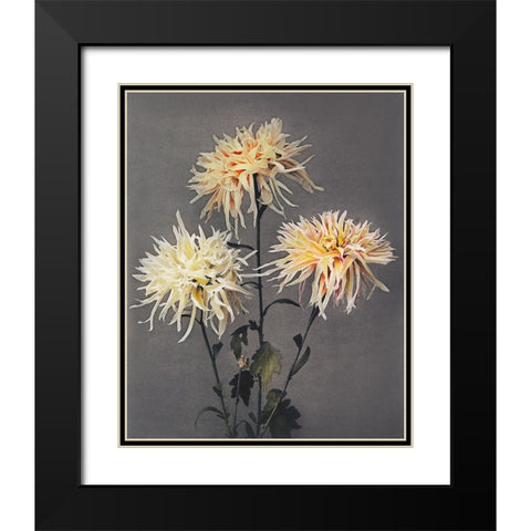 Imo se Yama Black Modern Wood Framed Art Print with Double Matting by Kazumasa, Ogawa