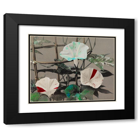 Morning Glory Black Modern Wood Framed Art Print with Double Matting by Kazumasa, Ogawa