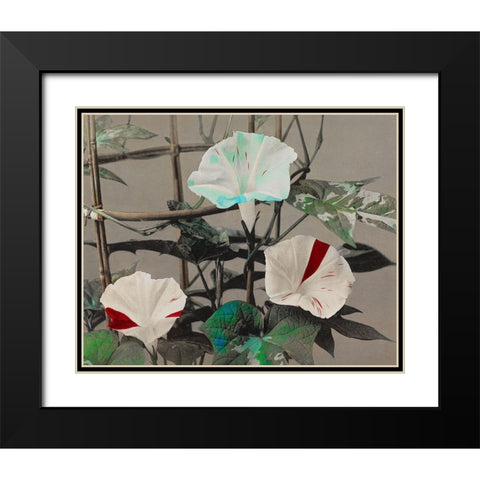 Morning Glory Black Modern Wood Framed Art Print with Double Matting by Kazumasa, Ogawa