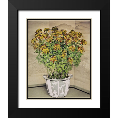 Chrysanthemum Black Modern Wood Framed Art Print with Double Matting by Kazumasa, Ogawa
