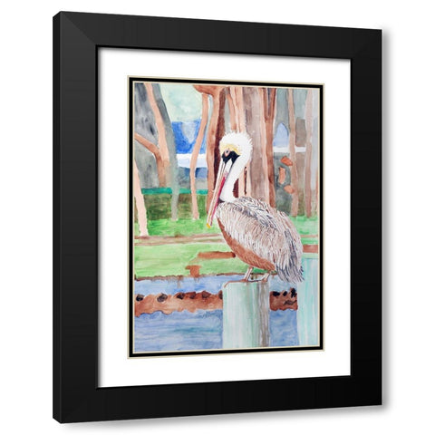 Brown Pelican Black Modern Wood Framed Art Print with Double Matting by Derr, Wynn