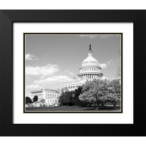 Capitol Hill Washington D.C. in cherry blossom season Black Modern Wood Framed Art Print with Double Matting by Highsmith, Carol