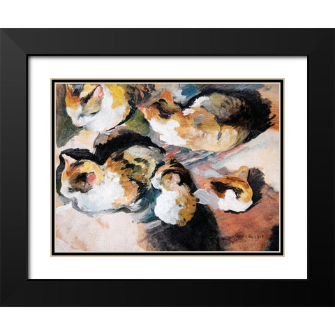 Katzenstudien Study of a Cat Black Modern Wood Framed Art Print with Double Matting by Macke, August