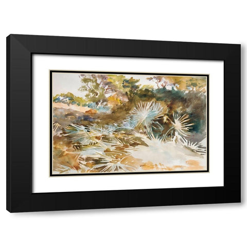 Landscape with Palmettos Black Modern Wood Framed Art Print with Double Matting by Sargent, John Singer