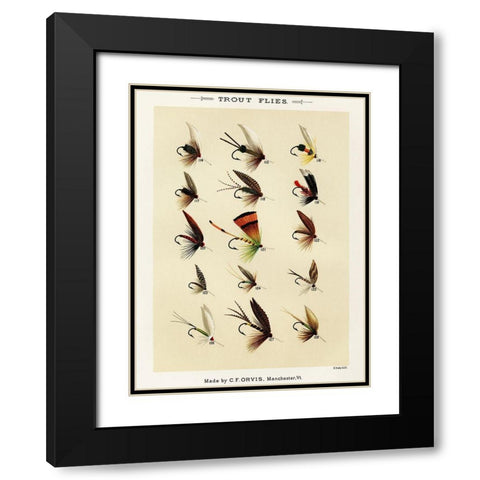Trout Fishing Flies VIII from Favorite Flies and Their Histories Black Modern Wood Framed Art Print with Double Matting by Marbury, Mary Orvis