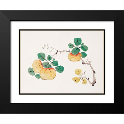 Page from Shi Zhu Zhai Orange Fruit Black Modern Wood Framed Art Print with Double Matting by Zhengyan, Hu