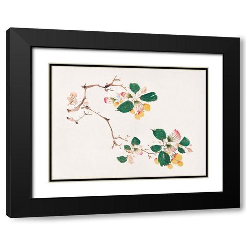 Page from Shi Zhu Zhai Golden Fruit Black Modern Wood Framed Art Print with Double Matting by Zhengyan, Hu
