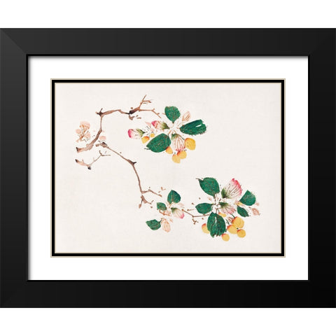 Page from Shi Zhu Zhai Golden Fruit Black Modern Wood Framed Art Print with Double Matting by Zhengyan, Hu