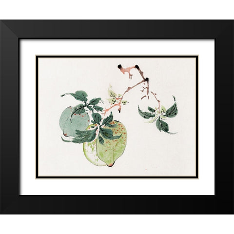 Page from Shi Zhu Zhai Green Fruit Black Modern Wood Framed Art Print with Double Matting by Zhengyan, Hu