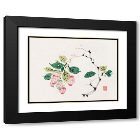 Page from Shi Zhu Zhai Red Fruit Bunch Black Modern Wood Framed Art Print with Double Matting by Zhengyan, Hu