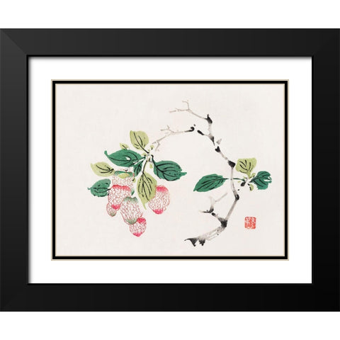 Page from Shi Zhu Zhai Red Fruit Bunch Black Modern Wood Framed Art Print with Double Matting by Zhengyan, Hu