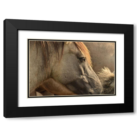 Horse Grain Black Modern Wood Framed Art Print with Double Matting by The Yellowstone Collection