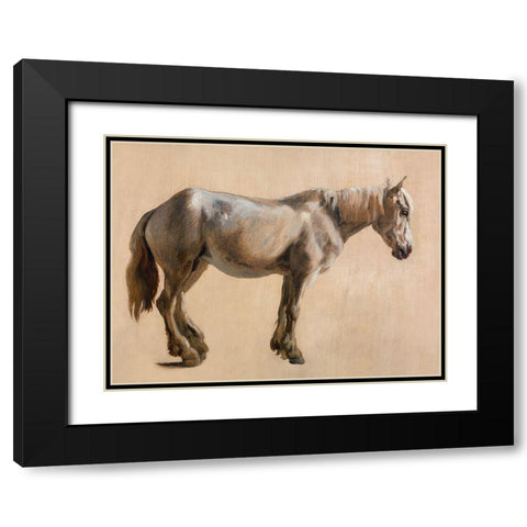 Study of a Grey Horse 1800 Black Modern Wood Framed Art Print with Double Matting by Agasse, Jacques-Laurent
