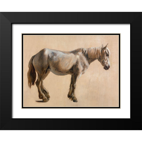 Study of a Grey Horse 1800 Black Modern Wood Framed Art Print with Double Matting by Agasse, Jacques-Laurent