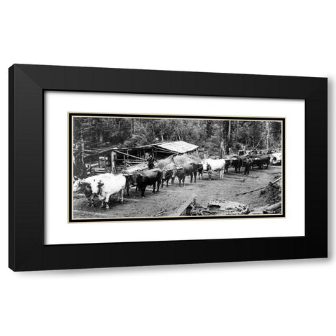 Logging with Ox Teams Black Modern Wood Framed Art Print with Double Matting by Vintage Photography