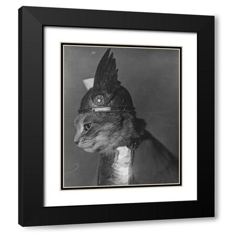 Brunnhilde the Cat Black Modern Wood Framed Art Print with Double Matting by Vintage Photography