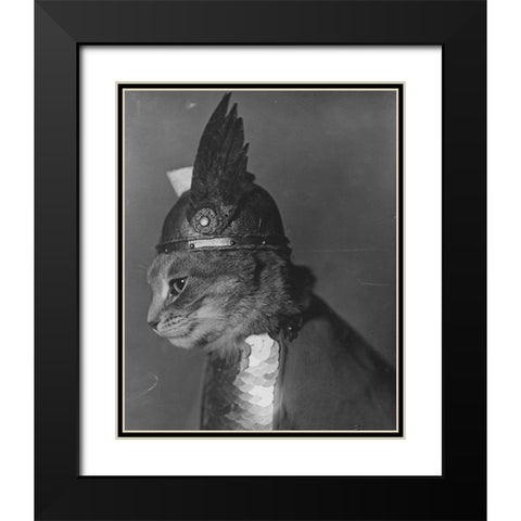 Brunnhilde the Cat Black Modern Wood Framed Art Print with Double Matting by Vintage Photography